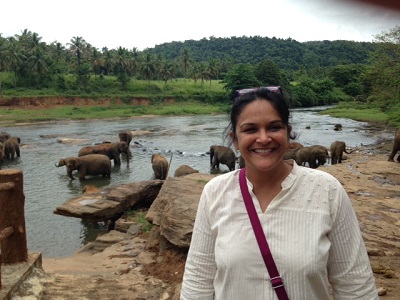 An elephant orphanage in the central hills of Sri Lanka V2S